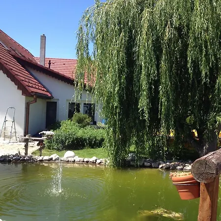 In Midi * Trenčín