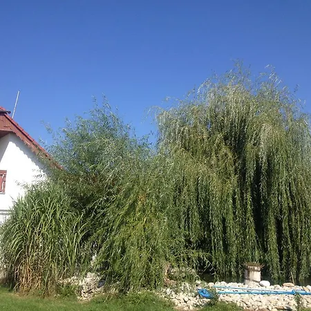 In Midi * Trenčín